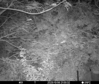 Oct 6 2025 21:00:32, #01