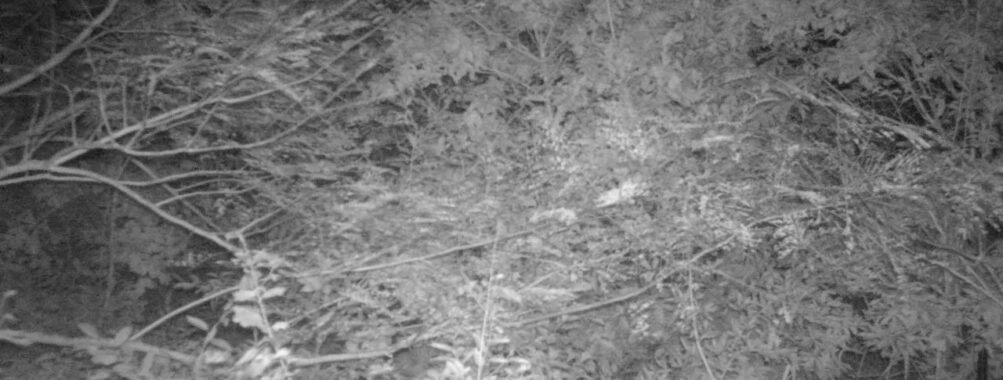 Oct 7 2025  0:00:30, #01