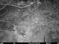 Oct 7 2025  0:00:30, #01