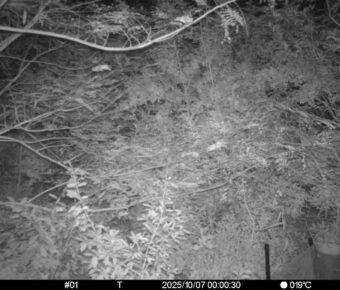 Oct 7 2025  0:00:30, #01