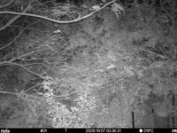 Oct 7 2025  3:00:31, #01