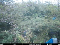 Oct 7 2025  6:00:32, #01