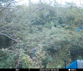 Oct 7 2025  6:00:32, #01