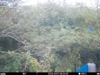 Oct 7 2025  9:00:30, #01