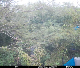 Oct 7 2025  9:00:30, #01