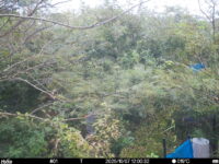 Oct 7 2025 12:00:32, #01