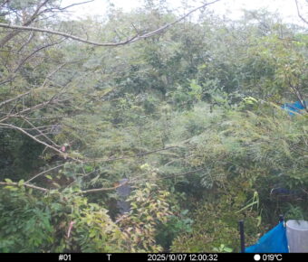 Oct 7 2025 12:00:32, #01