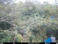 Oct 7 2025 15:00:31, #01