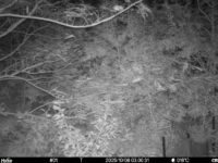 Oct 8 2025  3:00:31, #01