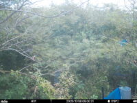 Oct 8 2025  6:00:31, #01