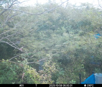 Oct 8 2025  6:00:31, #01