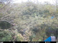 Oct 8 2025  9:00:31, #01