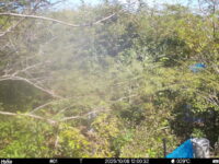 Oct 8 2025 12:00:32, #01