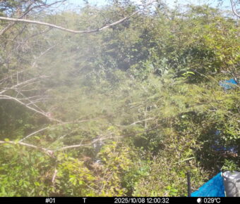 Oct 8 2025 12:00:32, #01