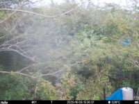 Oct 8 2025 15:00:31, #01