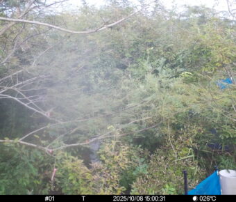 Oct 8 2025 15:00:31, #01