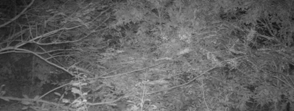 Oct 8 2025 18:00:30, #01