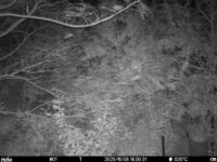 Oct 8 2025 18:00:30, #01