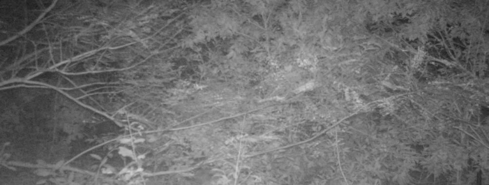 Oct 8 2025 21:00:31, #01