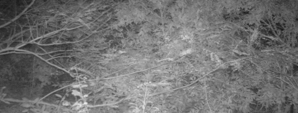 Oct 9 2025  0:00:31, #01