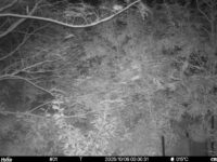 Oct 9 2025  0:00:31, #01