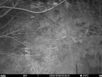 Oct 9 2025  3:00:30, #01