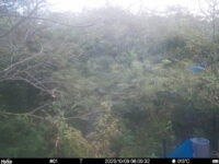 Oct 9 2025  6:00:32, #01