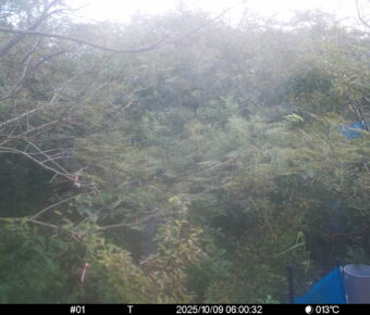 Oct 9 2025  6:00:32, #01
