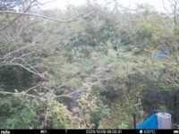 Oct 9 2025  9:00:31, #01