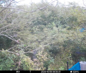 Oct 9 2025  9:00:31, #01