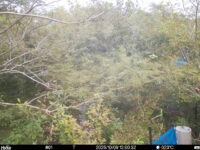 Oct 9 2025 12:00:32, #01