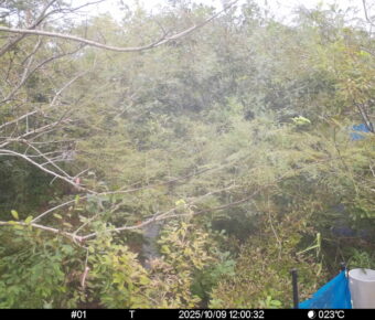 Oct 9 2025 12:00:32, #01