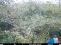 Oct 9 2025 15:00:32, #01