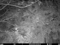 Oct 9 2025 18:00:31, #01