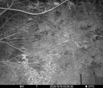 Oct 10 2025  3:00:30, #01