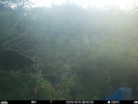 Oct 10 2025  6:00:32, #01