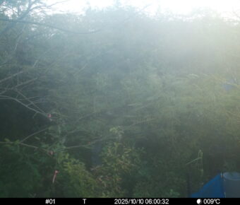 Oct 10 2025  6:00:32, #01