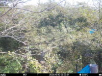 Oct 10 2025  9:00:31, #01