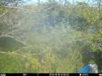 Oct 10 2025 12:00:32, #01