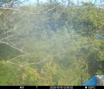 Oct 10 2025 12:00:32, #01