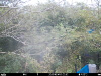 Oct 10 2025 15:00:32, #01