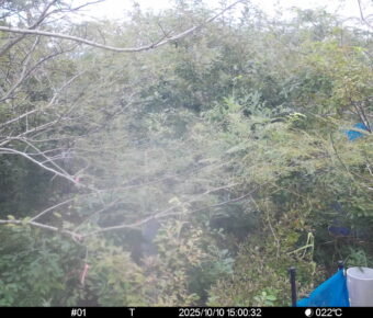 Oct 10 2025 15:00:32, #01