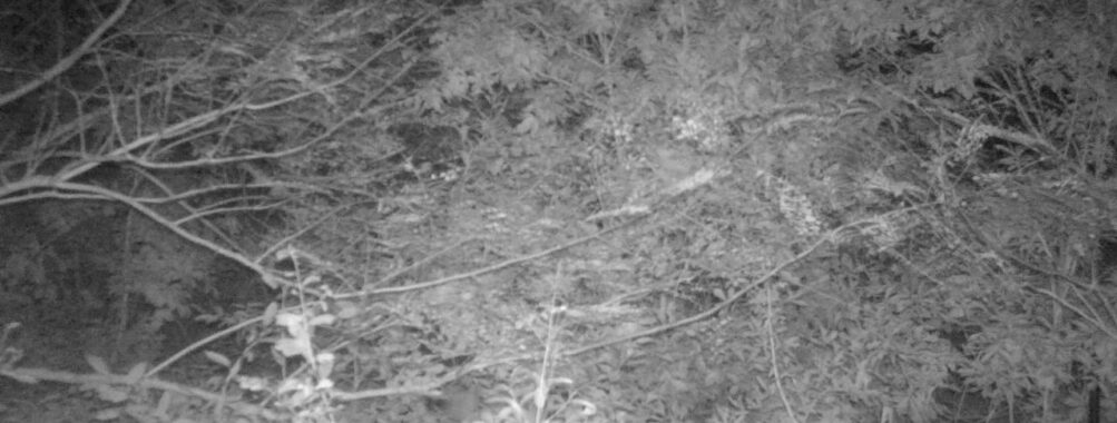 Oct 11 2025  3:00:30, #01