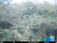 Oct 11 2025  6:00:31, #01