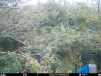 Oct 11 2025  9:00:32, #01