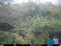 Oct 11 2025 12:00:31, #01