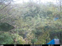 Oct 11 2025 15:00:32, #01