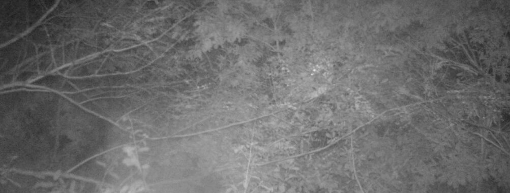 Oct 11 2025 18:00:32, #01