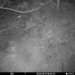 Oct 11 2025 18:00:32, #01