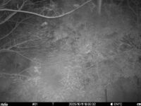 Oct 11 2025 18:00:32, #01